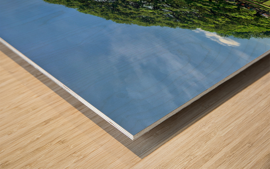 Giant Raintree 2 Wood print