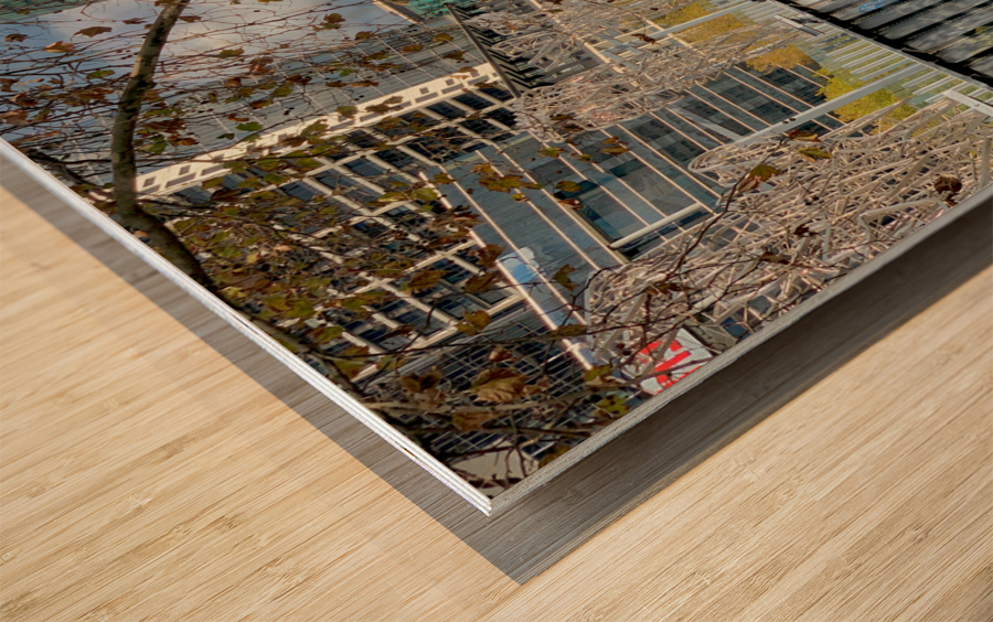 Around Yarra River in Melboune 4 Wood print