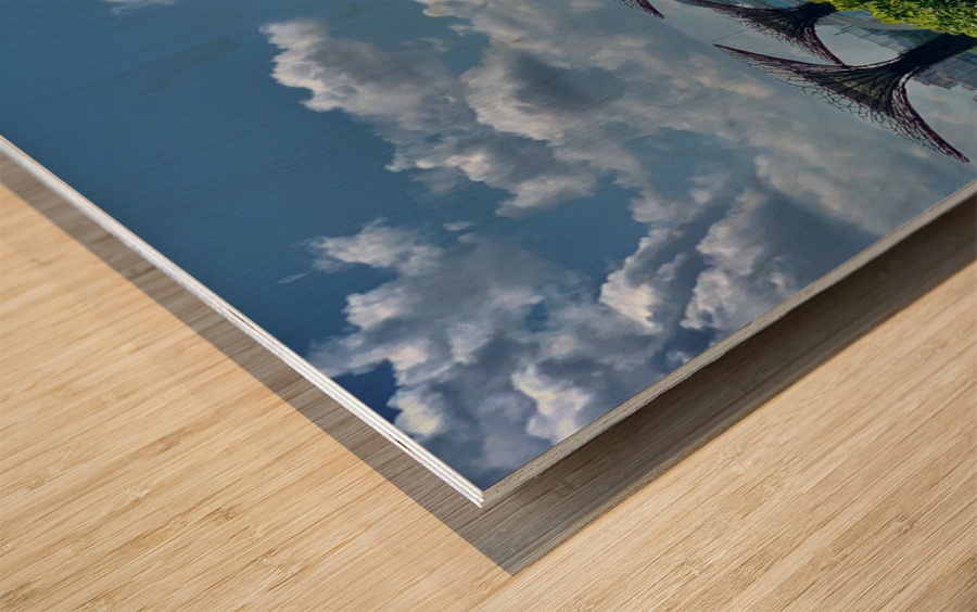 Gardens by the Bay Singapore 1 Wood print