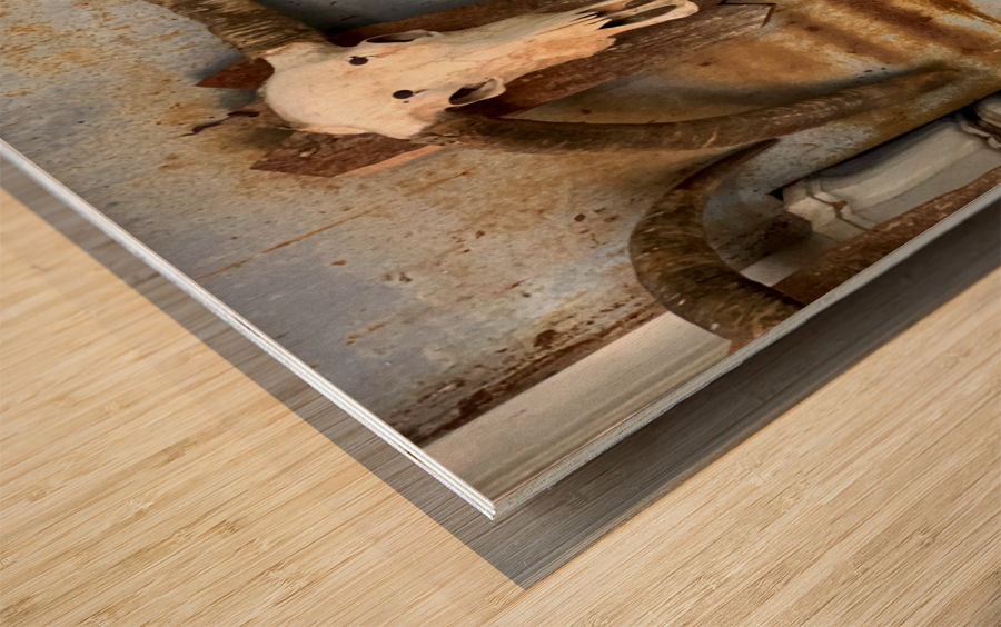 A Cat with Horns Wood print