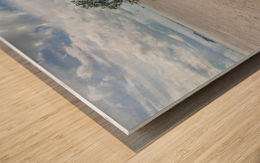 Lonely Tree 3 Wood print