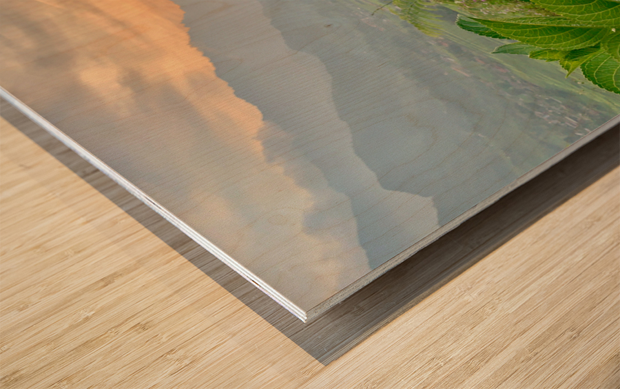 Purple Flowers for Sunset 2 Wood print