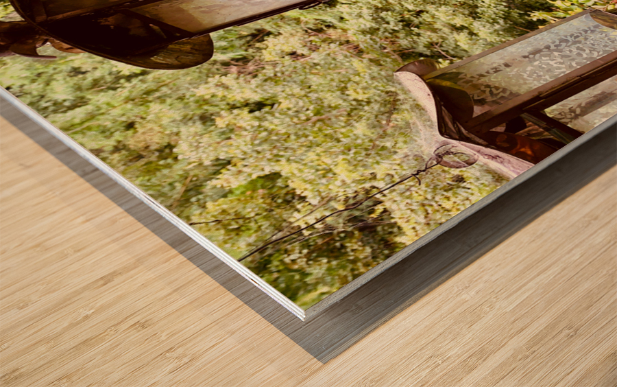 Old Lanterns Wood print