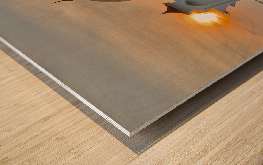 Masjid Selat Mosque In Melaka 1 Wood print