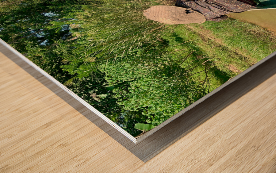 Lady Paddling Wood print