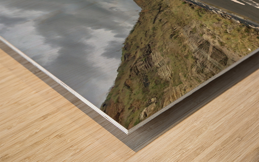 Nice Log on Black Sand Wood print