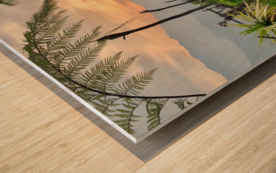 Walking to the Sunset Wood print