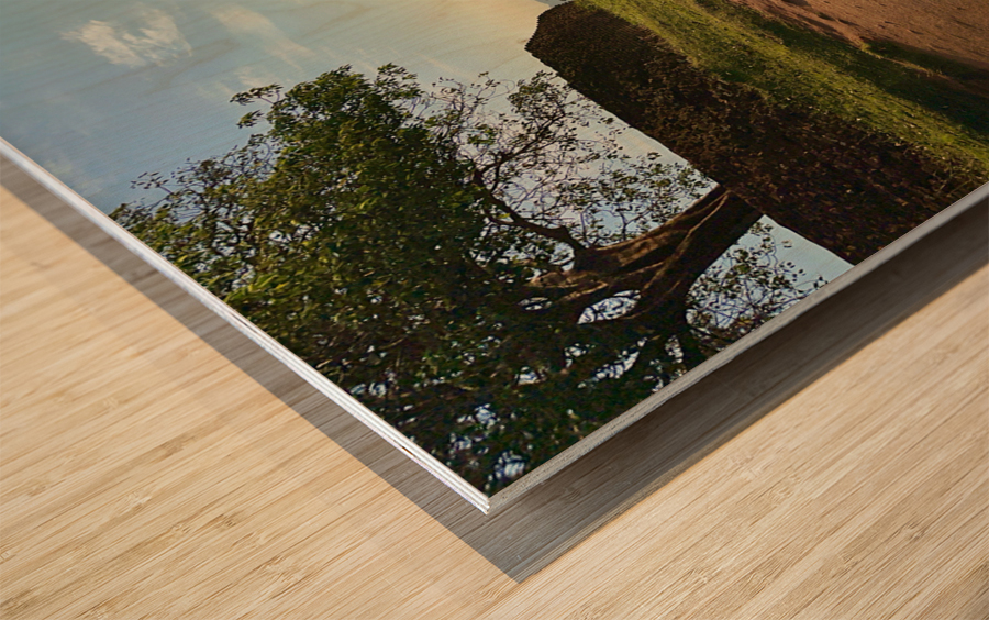 Sunrise on Top of Sigiriya Sri Lanka 10 Wood print