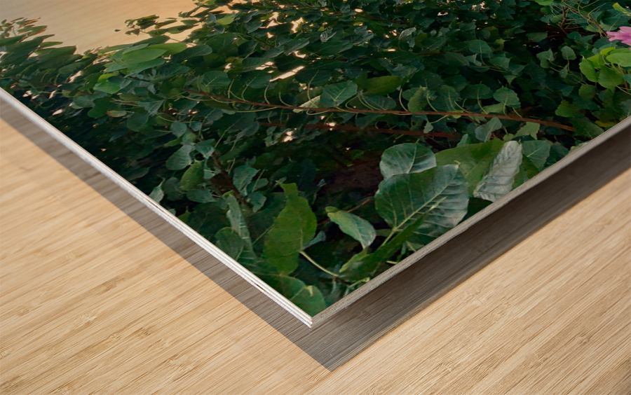 Bangkok Waterway Wood print