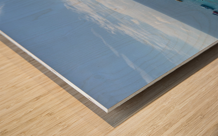 Koh Nang Yuan Island Thailand Wood print