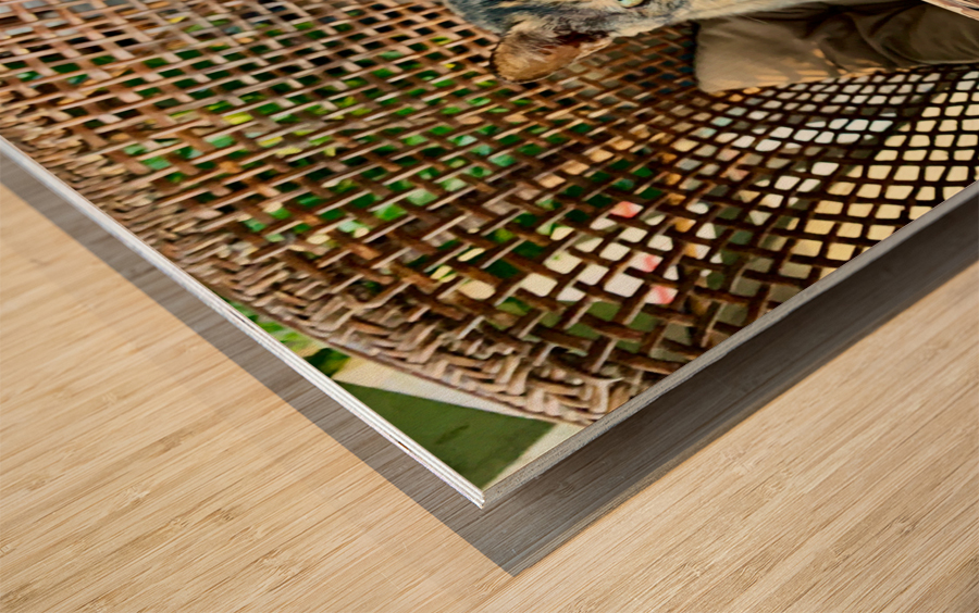 Dating a Cat Wood print