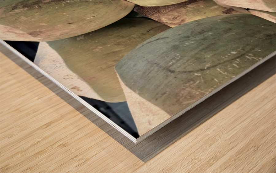 Coconut Stack Wood print