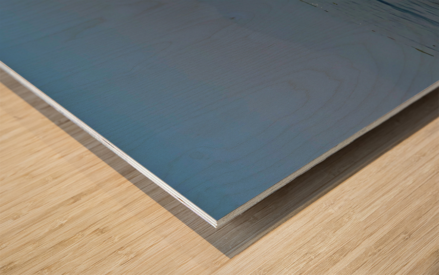 Inle Lake Fisherman 3 in Myanmar Wood print