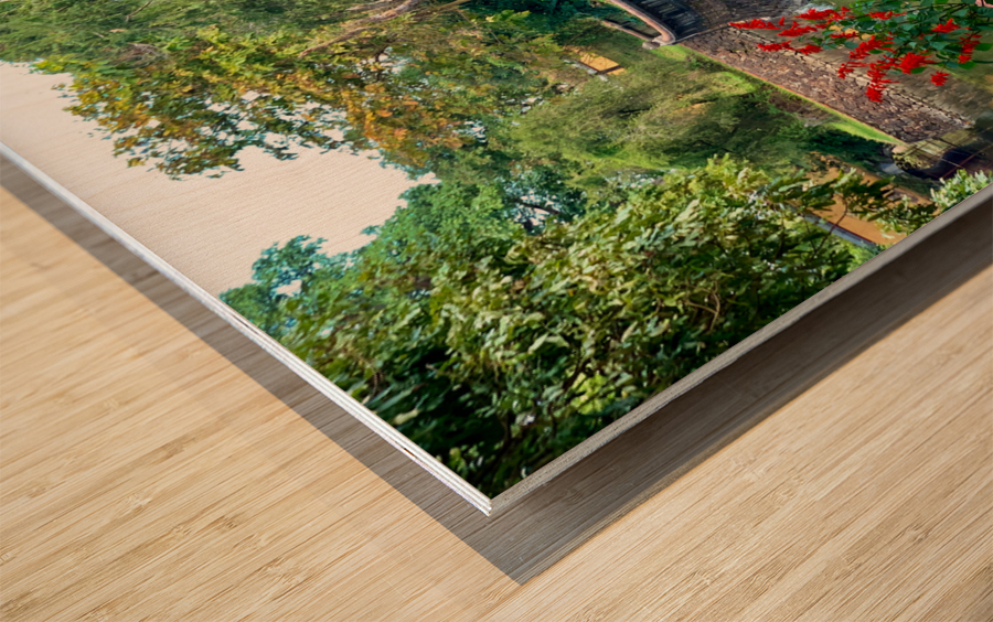 Fortified Red Flowers Wood print