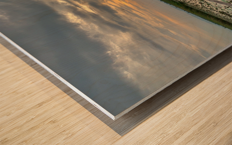 Follow to the Gazebo Wood print