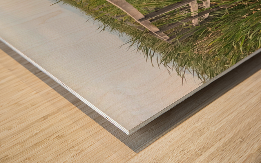 At Your Own Risks Wood print