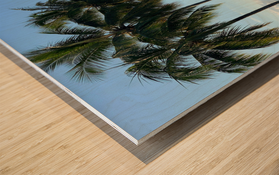 Let s Chill Under the Palm Trees Impression sur bois