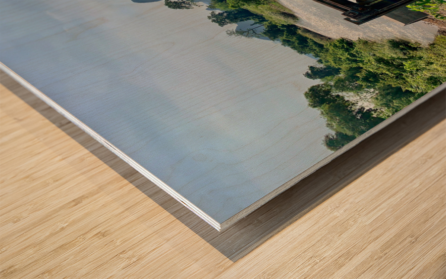 Monk Taking a Walk Wood print