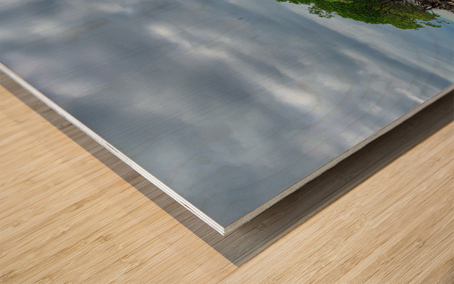 Mangroves Wood print