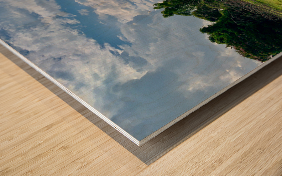 Life  and Death Wood print