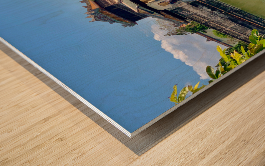 The Lady in Red Vietnam Wood print