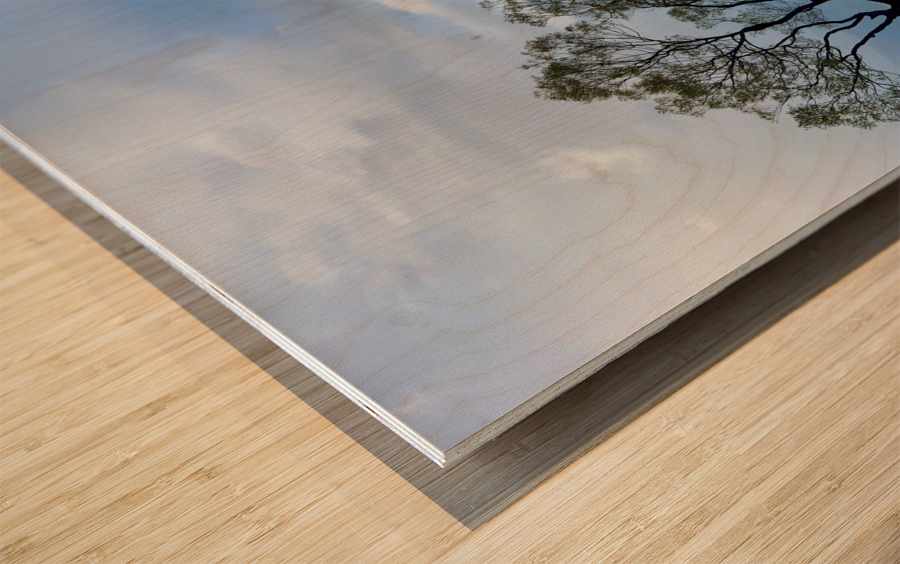 The Wanaka Tree New Zealand 2 Wood print