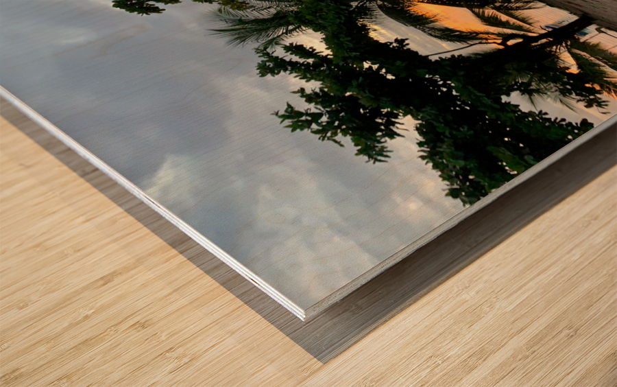 Sunset Between the Palm Trees Wood print