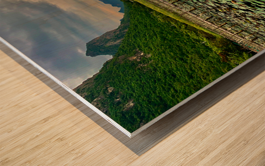 Wooden Walkway Wood print