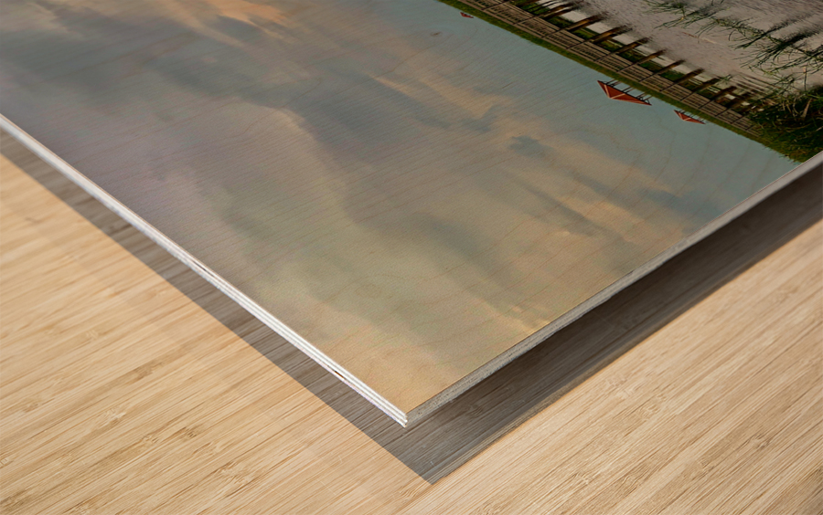 Wooden Walkway 2 Wood print