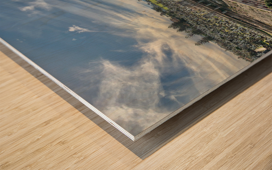 Waverley Cemetery by the Ocean Australia Wood print