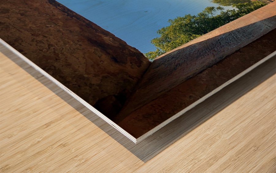 A Temple Afar Wood print