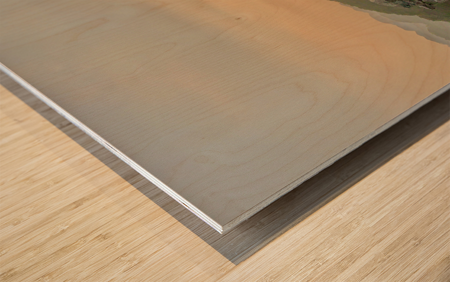 Beautiful Newlyweds at Hang Mua Cave Vietnam 2 Wood print