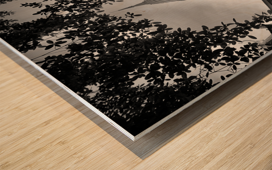 BW Monk  Stupa Impression sur bois