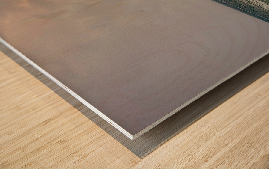 Alone on the Sea Wood print