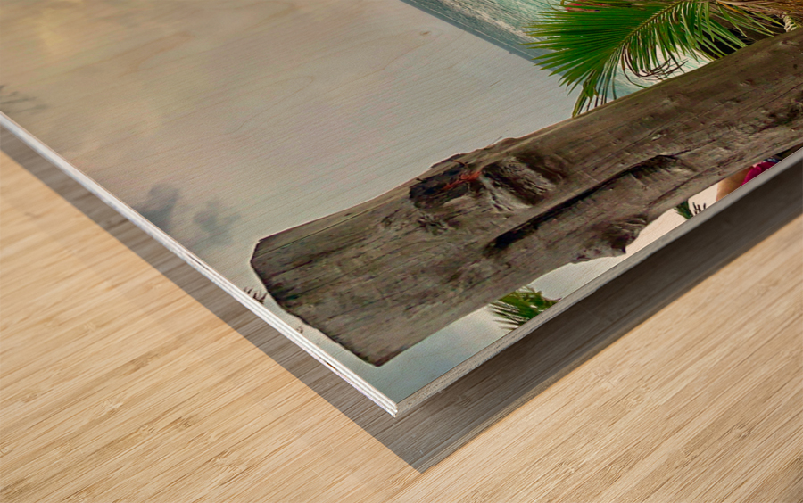 A Peak at the Beach Wood print