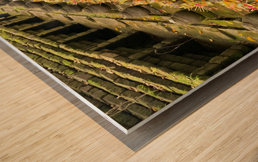 Bali Holy Water Wood print