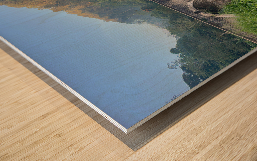 9 Arch Bridge Ella 2 Wood print