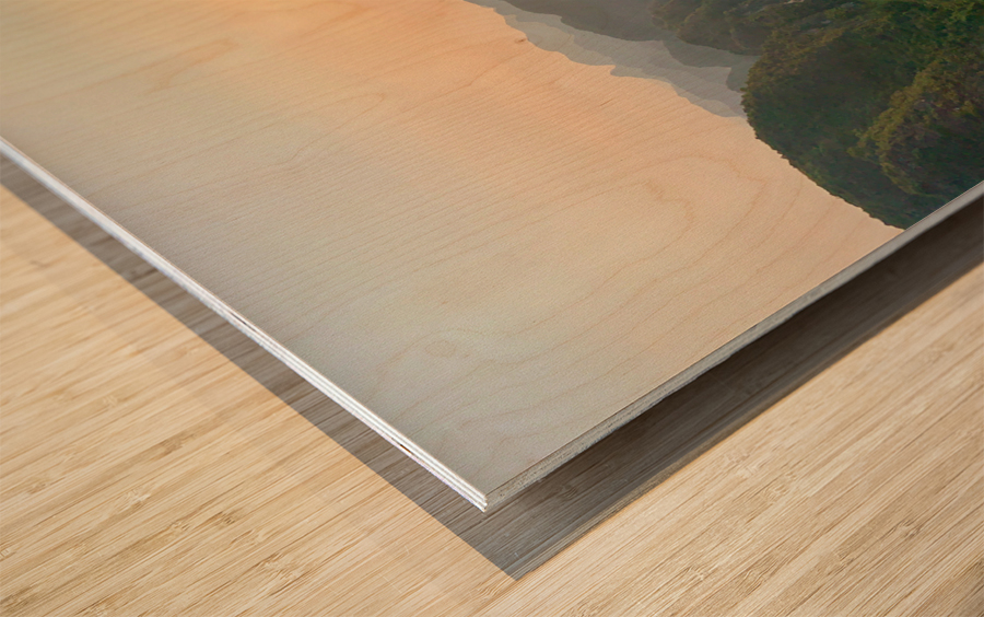 Beautiful Newlyweds at Hang Mua Cave Vietnam 1 Wood print