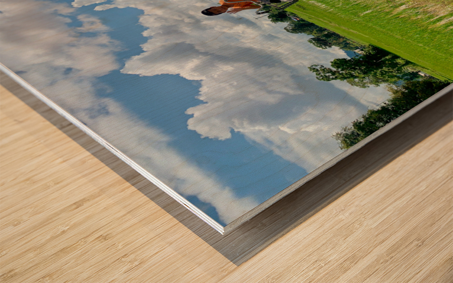 Cycling Back Home Wood print