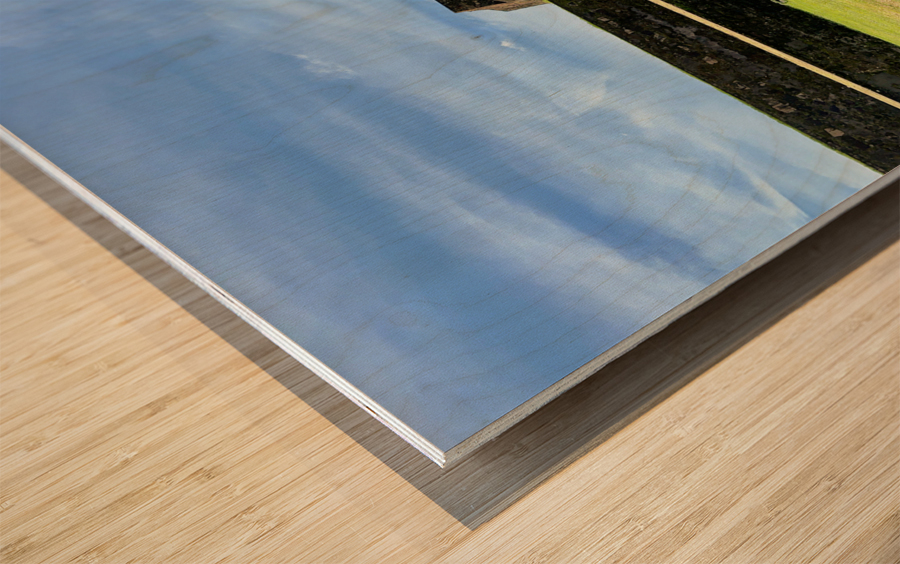 Fortress Wall Wood print