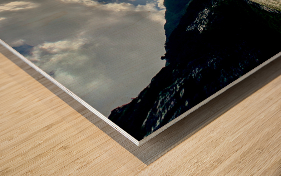 Milford Sound New Zealand 2 Wood print