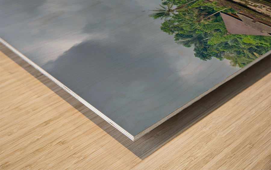 Lady in Balinese Holy Water Wood print