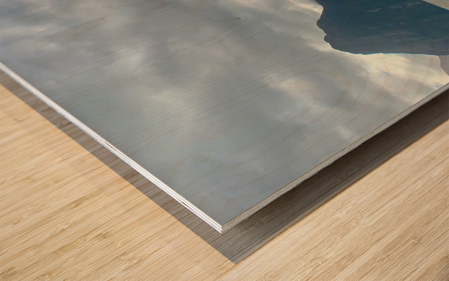 Milford Sound Cruise Wood print