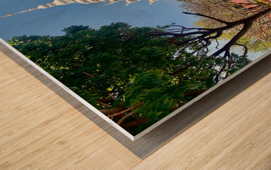 Little White Temple in Khon Kaen Thailand Wood print