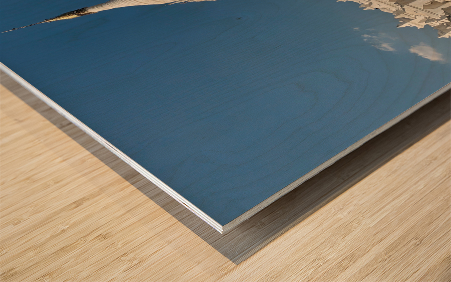 Hsinbyume Pagoda Myanmar 2 Wood print