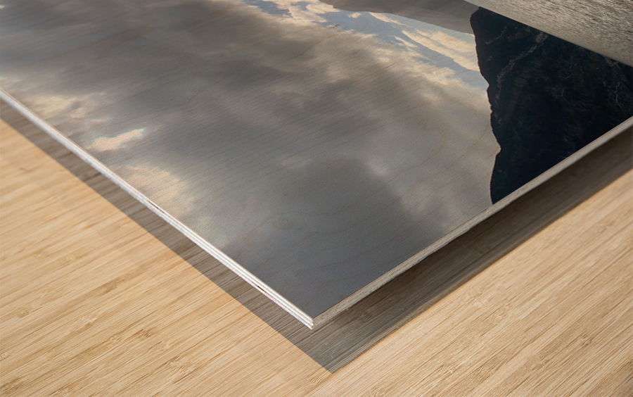 Milford Sound New Zealand Wood print