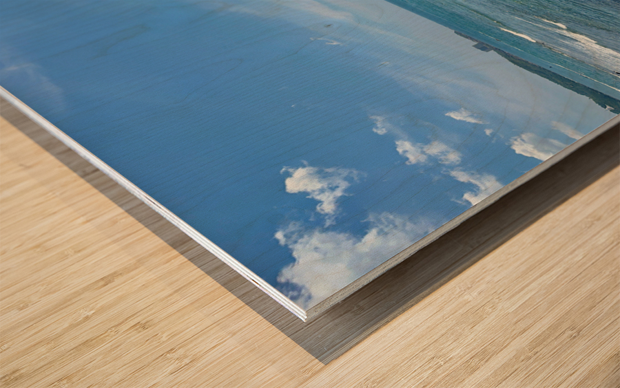 Middle Rock Ocean Wood print