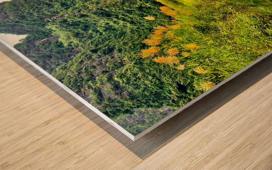 Ninh Binh Reflections Vietnam 2 Wood print