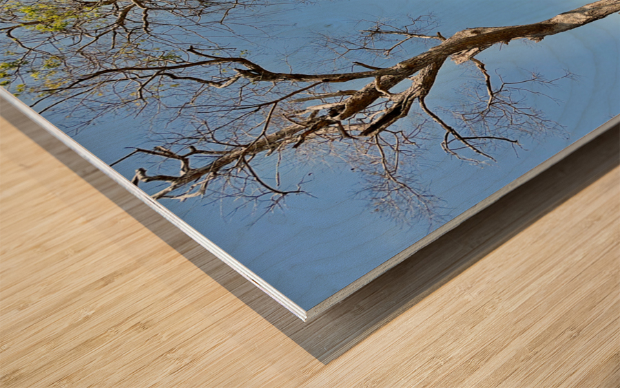 Phanom Rung Historical Park Thailand 2 Wood print