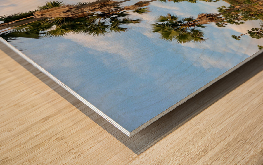 Palm Trees on the Hills Wood print